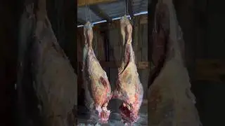 Carcass cutting🥩 Stocks for the winter❄️/ Разделка туши Запасы на зиму Yakutia 