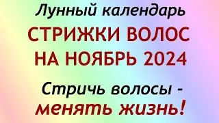 Лунный календарь СТРИЖКИ волос на ноябрь 2024. Благоприятные и неблагоприятные дни.