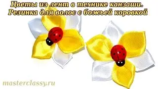 Цветы из лент в технике канзаши. Резинка для волос с божьей коровкой: видео урок