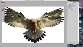 Puppet Warp in Photoshop CS5