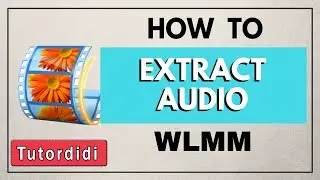 Extract Audio From Video In Windows Movie Maker