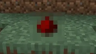 the first minecraft item