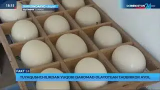 ⚡️ Туяқушчиликдан юқори даромад олаётган тадбиркор аёл