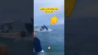 حوت مدهش للغاية #معلومة_لعقلك #اكسبلور #shorts
