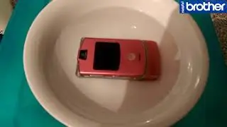 Easy way to Repair Phone Water Damage