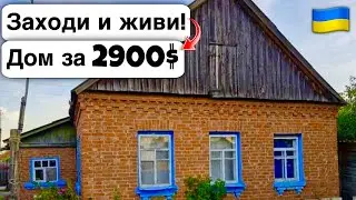 🇺🇦 Заходи и живи! Дом в селе за 2900$ Продажа недвижимости за копейки! Всё есть Уютное тихое село!