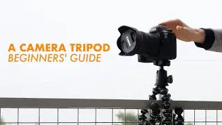 How to Choose a Camera Tripod (Beginners' Guide)