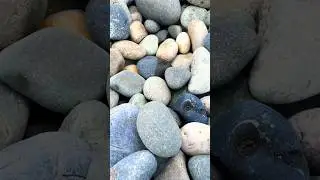 Stone stacking at the beach #stack #stones #sunset #beach