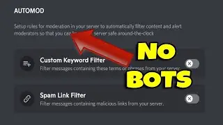 Can You Moderate Your Discord Server Without Bots?? | automod discord