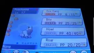 [LIVE] Shiny Zigzagoon!!! 287 HEs!!! Pokemon Alpha Sapphire! (BQ#2)