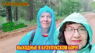 Бузулукский бор! Кайф от кислорода!