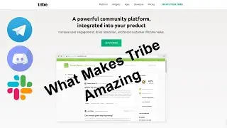 Tribe Community Platform