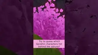 Try to guess which Genshin characters hid behind the sakura 3