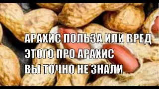 АРАХИС ПОЛЬЗА ИЛИ ВРЕД ПРО ЭТО СВОЙСТВО АРАХИСА ВЫ ТОЧНО НЕ ЗНАЛИ ВНИМАНИЕ