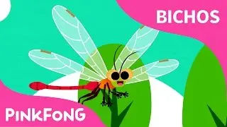 Li-Li-Libélula | Bichos | Pinkfong Canciones Infantiles