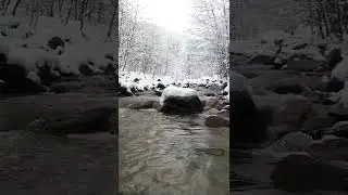 Relaxing Flowing water winter river sounds #Shorts