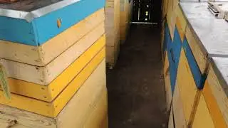 Увязал пчёл, ульи готовы к перевозке на медосбор