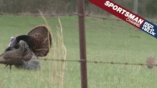 Turkey Hunting Hung Up Toms – Spring Chronicles