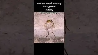 КОГДА БАТЯ ТЕБЯ БУДИТ В ШКОЛУ 