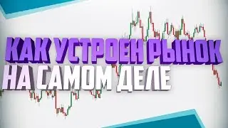 Как Устроен Рынок/ Сложное Простым Языком(обучение криптовалютам,обучение форекс)