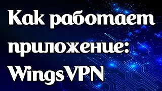 Как работает приложение WingsVPN