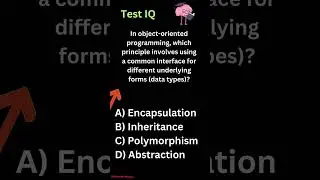 In object oriented programming, which principle involves using a common interface for different