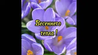 Доброе Утро !!!