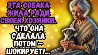 Истории из жизни📕ТИШКА📕Жизненные истории