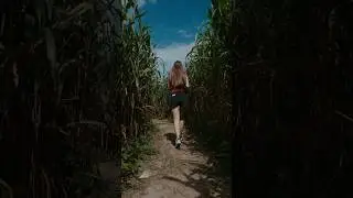 Vortex Mode 🤯