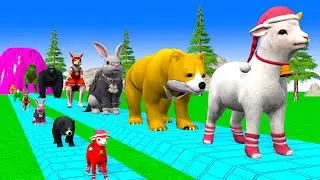 Paint & Animals Cow,Elephant,Bear,Sheep,Kangaroo Dinosaur Fountain Crossing Transformation Cartoon