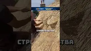 Крыша из травы🤯 #рекомендации