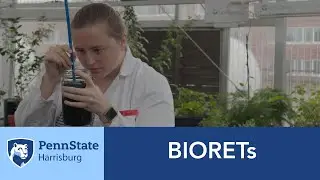 BIORETs
