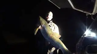 ДОБЫЛ НОРМУ И ДОМОЙ! ТАКОВ ЗАКОН! Болото полное трофеев. Подводная рыбалка/охота  Астрахань