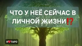 Что у неё сейчас в личной жизни⁉️расклад таро для мужчин