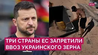 Киев судится с тремя странами ЕС. Почему Польша, Венгрия и Словакия отказались от украинского зерна?