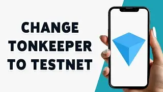 How To Change Tonkeeper To Testnet 2024