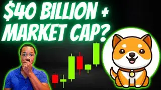 BABY DOGE COIN PREDICTION For The 2024 BULL MARKET