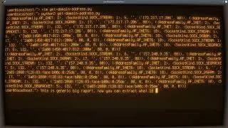 Python ASMR - Get IPv4 and IPv6 Address of a Domain - No Talking