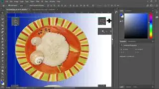 Photoshop Select Tools - Shells