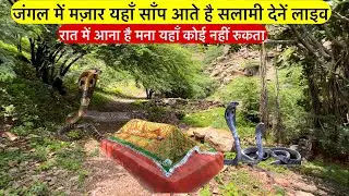 Jangal me is mazar par aate he sanp ke jode salami dene live | मज़ार पर साँप के जोड़े की सलामी