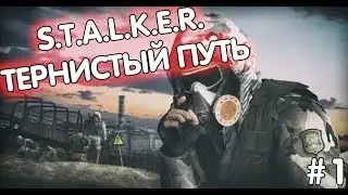 S.T.A.L.K.E.R. / STALKER Тернистый путь #2