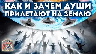 Как и зачем ДУШИ прилетают на Землю? | 