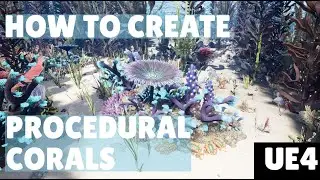 How to create procedural corals using UE marketplace