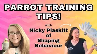 Parrot Training Tips with Nicky Plaskitt of Shaping Behaviour | BirdNerdSophie