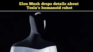 Elon Musk drops details about Tesla's humanoid robot | Top 10 World