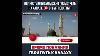Почему вы не чтите величия Аллаха?