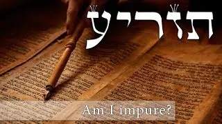 Parashat Tazria - Are you impure? - Rabbi Alon Anava