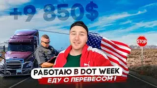 Рейты растут/Вскрыли трейлер