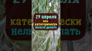 29 апреля народный праздник Ирина Рассадница, Арина урви берега. Что нельзя делать. Народные приметы