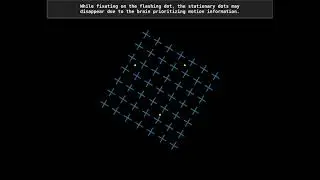 Dots disappear due to the brain prioritizing plus sign motion information | Motion-induced blindness